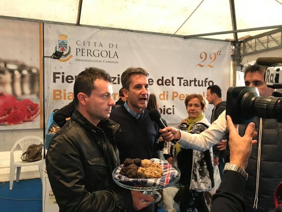 Fiera del Tartufo Bianco Pregiato di Pergola